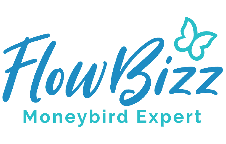 FlowBizz - Moneybird Expert